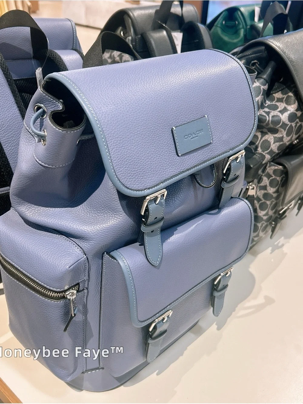 Coach Men's sprint Leather Backpack in Lavender Blue CBI11